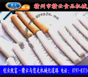 �������۽z�C(j��)