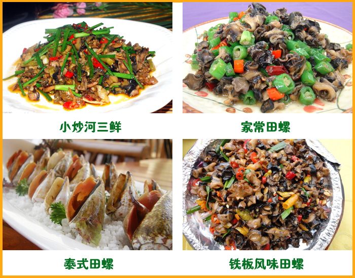 �����ݣ�������ʳ����������