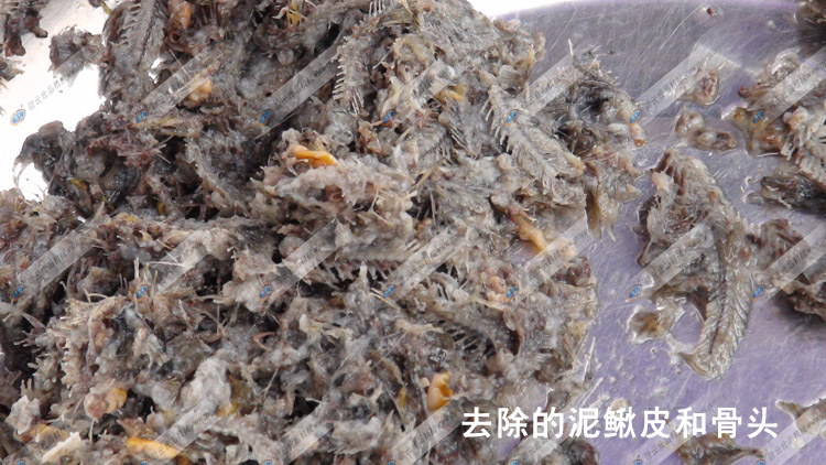 ȥ�������q�Ǻ����qƤ-�����q��-�M�ƙC(j��)е