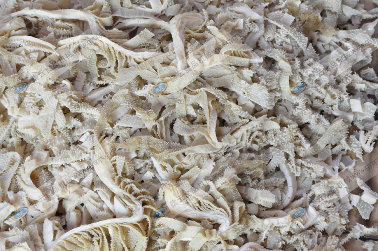 �๦���в˙C(j��)��ţ�ǽz�D��