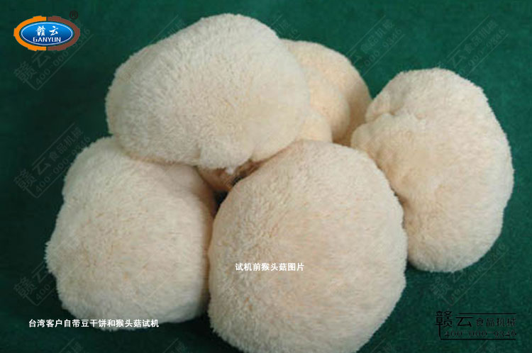 �_(t��i)���͑��Ԏ��ĺ��^���D