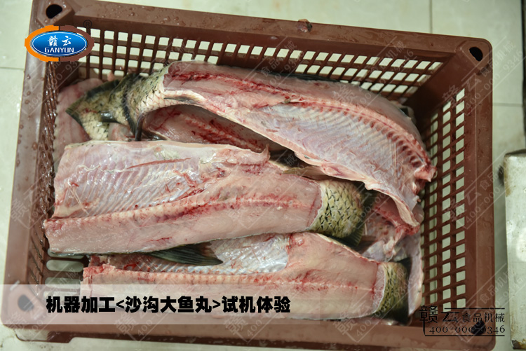 草魚加工沙溝大魚丸