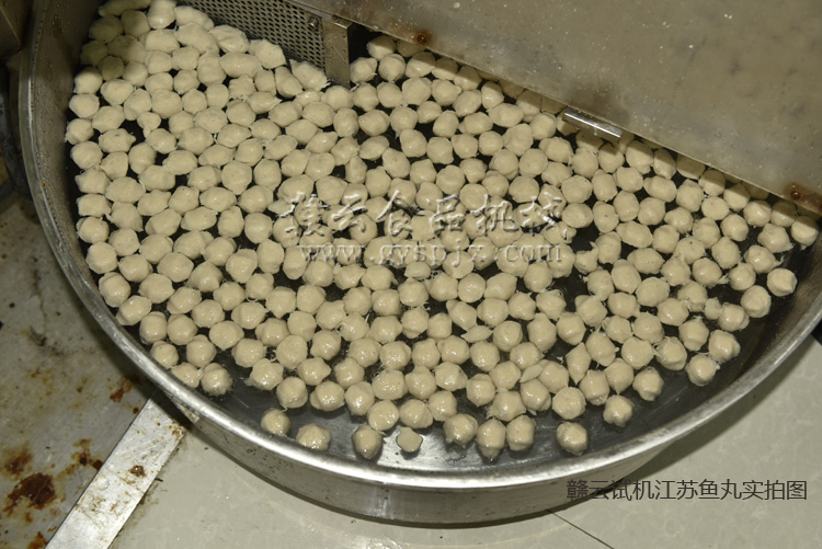 將打好的魚漿放入肉丸成型中成型,成型出來的魚丸在水槽中定型