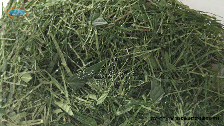 切出來的植物茶絲狀效果