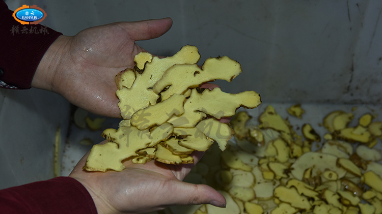 本地生姜的切片效果