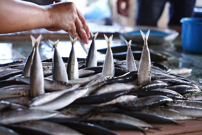 �a(ch��n)Ʒչ�d