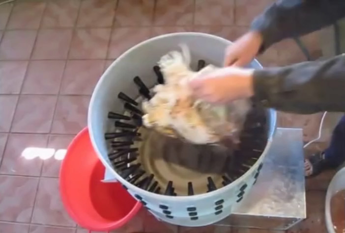 ��̖(h��o)����Óë�C(j��)-���A��