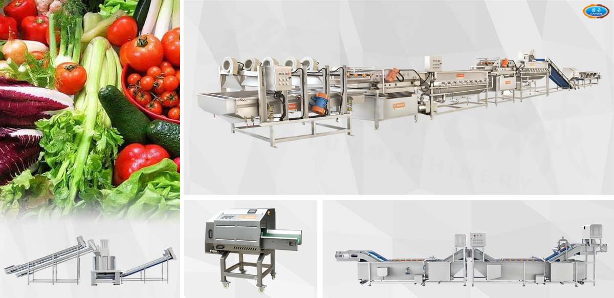 凈菜加工流水線設備展示 凈菜加工流水線設備展示