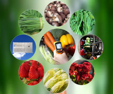 �߲��A(y��)�䱣�r��Q���g(sh��)����