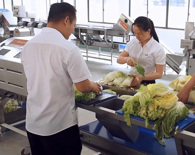 �A�Ʋ���ϴ���˹��֒�